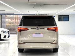 Buick GL8 ES Luzun 653T luxury - фото 6