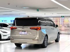 Buick GL8 ES Luzun 653T luxury - фото 7