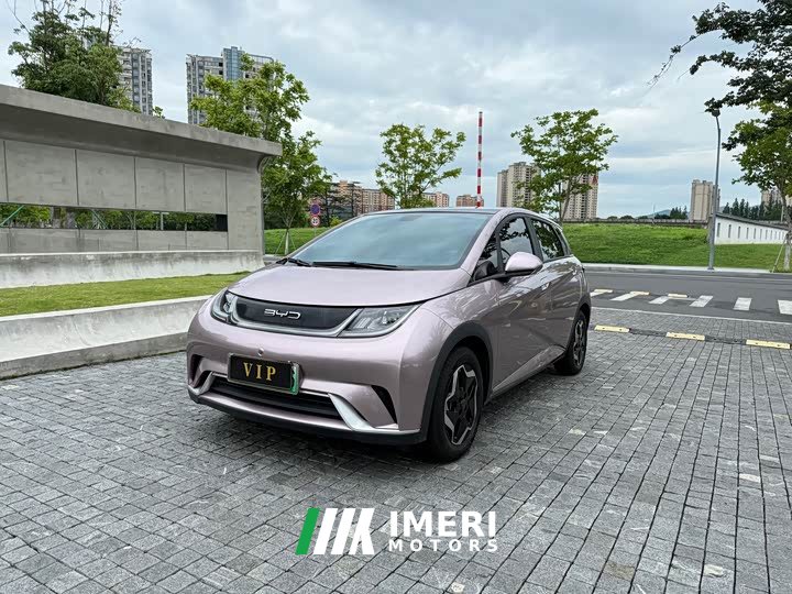 BYD Dolphin 2021 405km fashion version - автомобиль из Китая