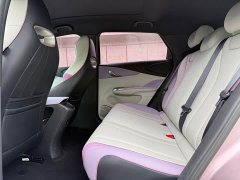 BYD Dolphin 2021 405km fashion version - фото 11