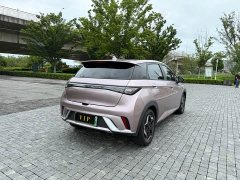 BYD Dolphin 2021 405km fashion version - фото 16