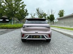 BYD Dolphin 2021 405km fashion version - фото 17