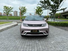 BYD Dolphin 2021 405km fashion version - фото 3