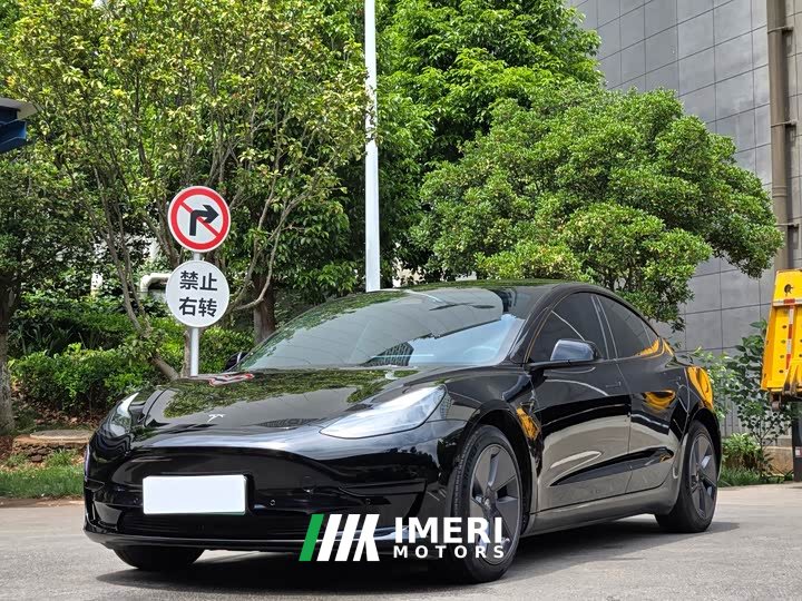 Tesla Model 3 2022 rear-wheel drive version - автомобиль из Китая