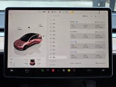 Tesla Model 3 2022 rear-wheel drive version - фото 9