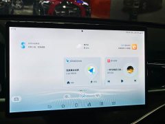 Lexus Tangxin Energy 2023 DM-i Champion Edition 112KM Honor Type - фото 10
