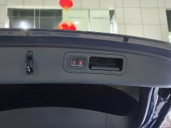 Lexus Tangxin Energy 2023 DM-i Champion Edition 112KM Honor Type - фото 15