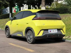 BYD Seagull 2023 Vitality Edition - фото 4
