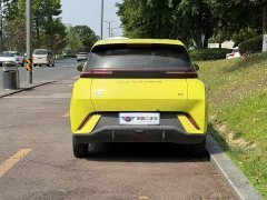 BYD Seagull 2023 Vitality Edition - фото 5