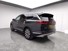 Lanjing 380TSI four-wheel drive luxury Jiajing Edition Pro 6 seats - фото 4