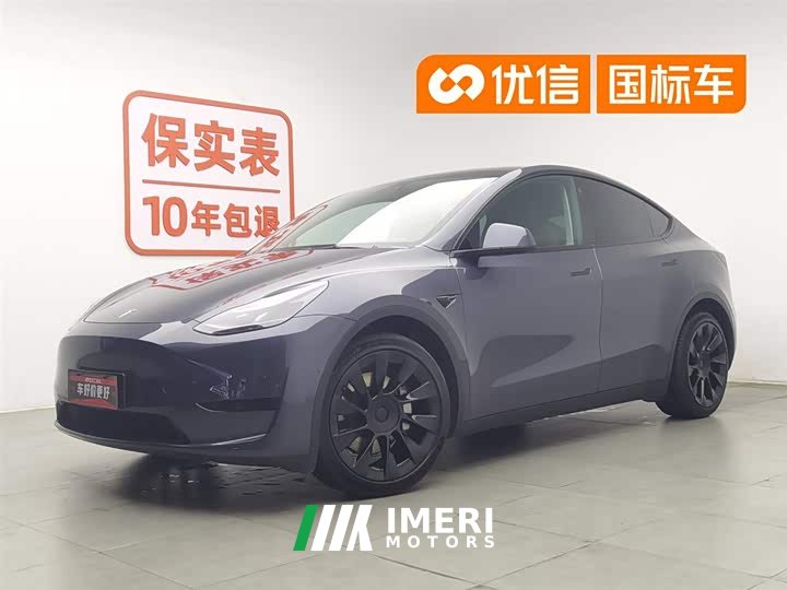 Tesla Model Y rear-wheel drive version - автомобиль из Китая