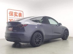 Tesla Model Y rear-wheel drive version - фото 2