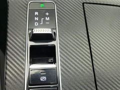 EXEED Zhuifeng Versailles Edition 1.6T DCT Yufengxing Trim - фото 13