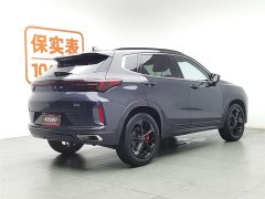 EXEED Zhuifeng Versailles Edition 1.6T DCT Yufengxing Trim - фото 2