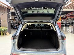 Voyah Lantu FREE 2021 four-wheel drive standard extended range exclusive luxury package - фото 17