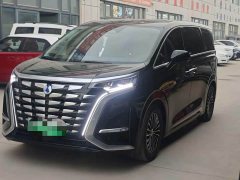 Denza D9 DM-i 980 four-wheel drive flagship - фото 1