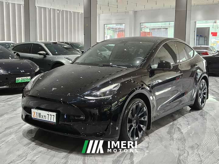 Tesla Model Y rear-wheel drive version - автомобиль из Китая