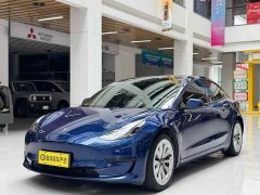 Tesla Model 3 Standard Range Rear Drive Upgraded Version - фото 1