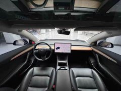 Tesla Model 3 Standard Range Rear Drive Upgraded Version - фото 10