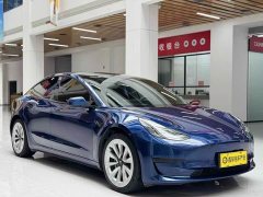 Tesla Model 3 Standard Range Rear Drive Upgraded Version - фото 3