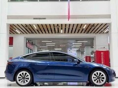 Tesla Model 3 Standard Range Rear Drive Upgraded Version - фото 4
