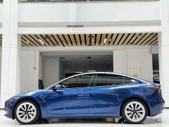 Tesla Model 3 Standard Range Rear Drive Upgraded Version - фото 8