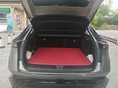 Nissan ARIYA 500 - фото 3