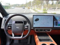 Li Auto Ideal L8 Air - фото 6