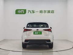 Lexus NX 2020 300h front-wheel drive Fengshang Edition National VI - фото 6