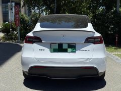 Tesla Model Y rear-wheel drive version - фото 12