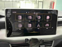 Lexus Tanyue 280TSI two-wheel drive luxury Plus advanced version - фото 6