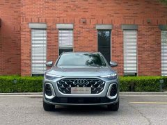 Audi Q5L 2.0T Exclusive Edition for Ten Million Users - фото 11