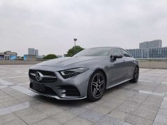 Mercedes-Benz CLS 300 Luxury - фото 1