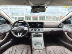 Mercedes-Benz CLS 300 Luxury - фото 12