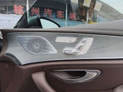 Mercedes-Benz CLS 300 Luxury - фото 13