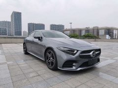 Mercedes-Benz CLS 300 Luxury - фото 3