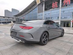 Mercedes-Benz CLS 300 Luxury - фото 6
