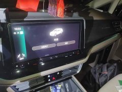 Lynk & Co Weiran 2024 380TSI Premium Edition - фото 14