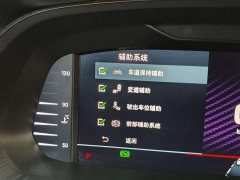 Lexus Octavia 2021 PRO TSI280 DSG Flagship Edition - фото 19