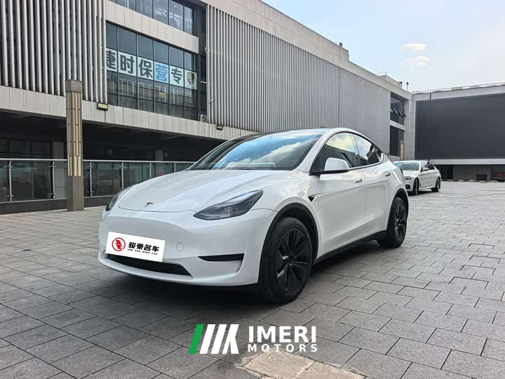 Tesla Model Y rear-wheel drive version - автомобиль из Китая