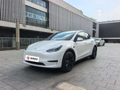 Tesla Model Y rear-wheel drive version - фото 1