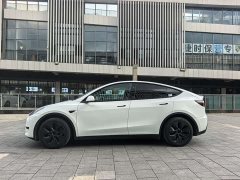 Tesla Model Y rear-wheel drive version - фото 13