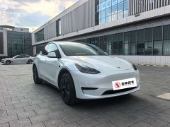 Tesla Model Y rear-wheel drive version - фото 3