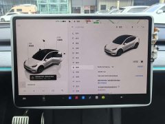 Tesla Model Y rear-wheel drive version - фото 5