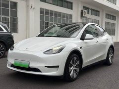 Tesla Model Y long-range all-wheel drive version - фото 1