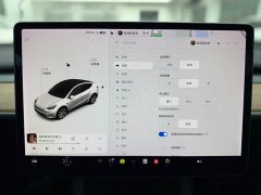 Tesla Model Y long-range all-wheel drive version - фото 13
