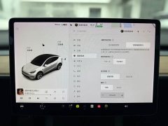 Tesla Model Y long-range all-wheel drive version - фото 14