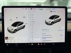 Tesla Model Y long-range all-wheel drive version - фото 15