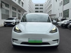 Tesla Model Y long-range all-wheel drive version - фото 2