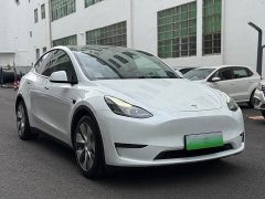 Tesla Model Y long-range all-wheel drive version - фото 3